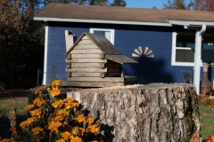 imgp0302jpg_31108535536_o