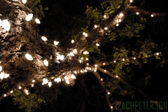 lit_6236514196_o
