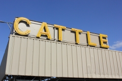 cattle_8106669186_o