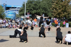 jump_8106655789_o
